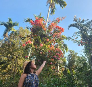 DT Mexico Botanical Gardens